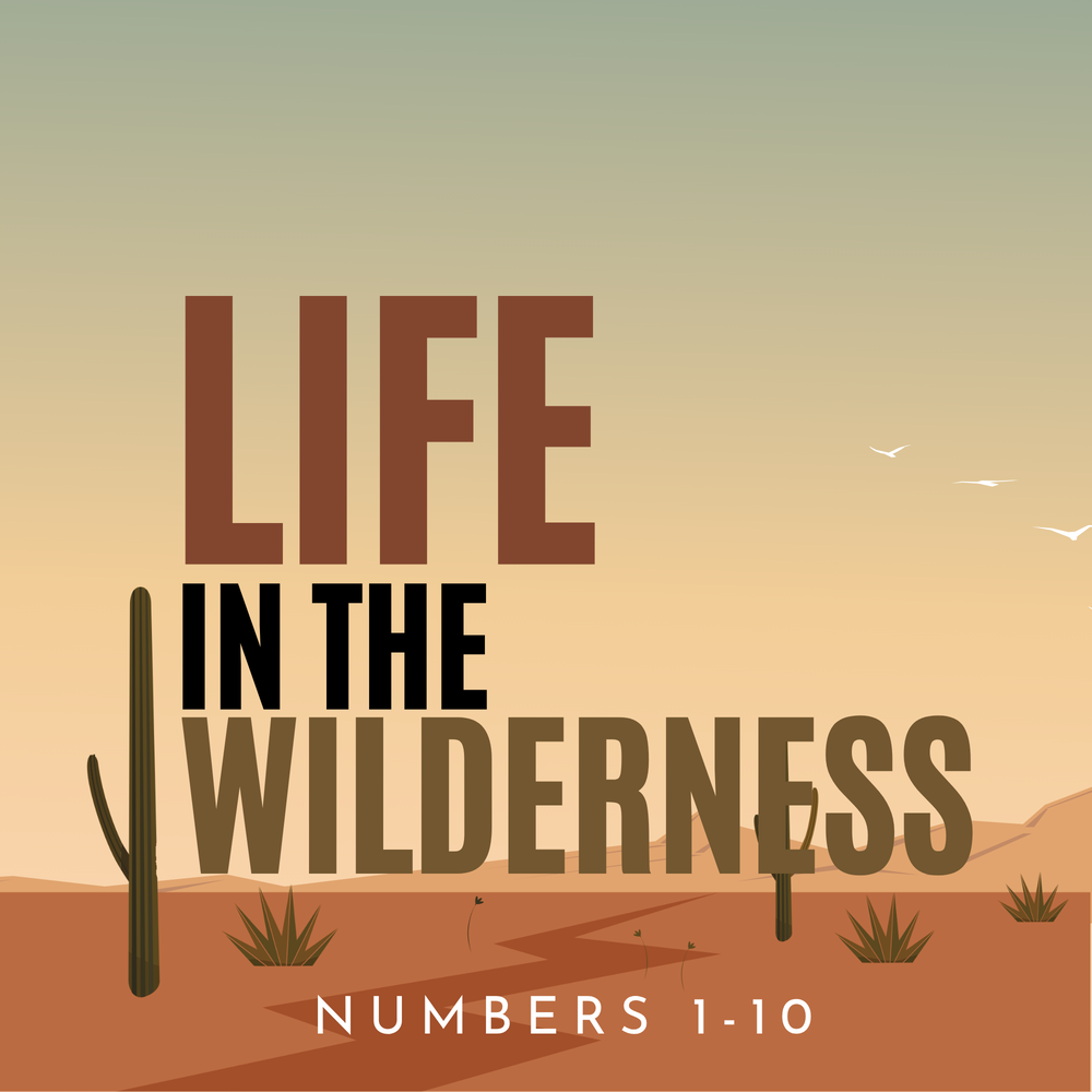 Life in the Wilderness